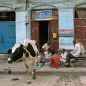 Street scene, Kolkata