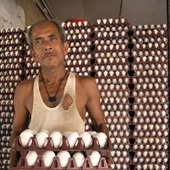 Egg vendor, Mumbai market